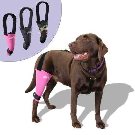Dog & Cat Knee Brace V974360